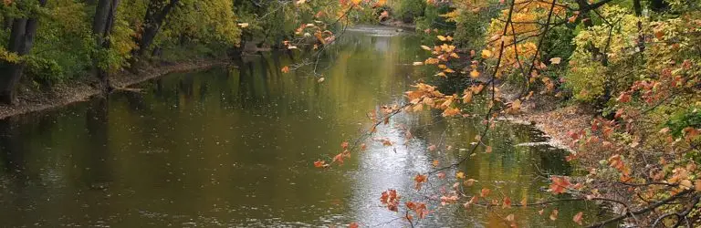 IWR+banner+ +red+cedar+2015