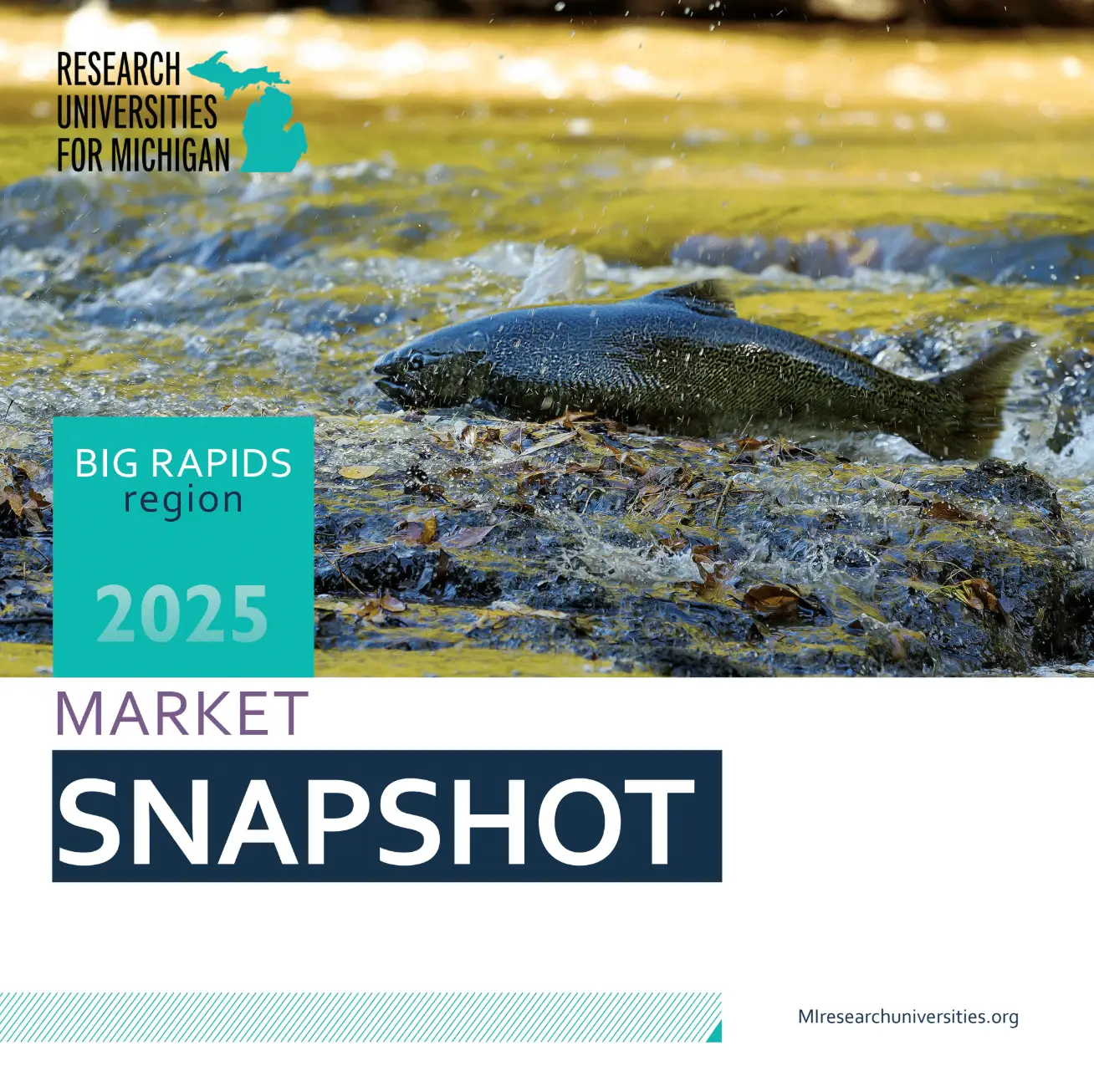 Screenshot 2025 09 03 at 11.31.43 AM